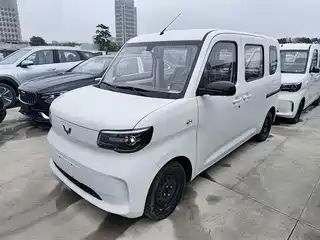 Wuling Motors Zhiguang NEV 2026
