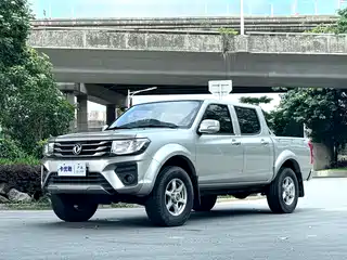 Dongfeng Ruiqi 2021