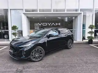 Voyah Auto Zhiyin 2025