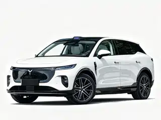 Voyah Auto Voyah Zhiyin 2025
