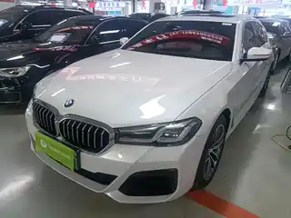 BMW 5 Series New Energy 2020