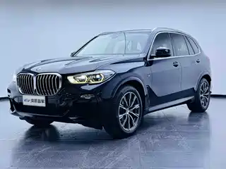 BMW X5 (Import) 2019