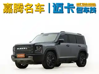 Haval Meng Long NEV 2024