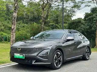 Wuling Motors Xingguang 2023