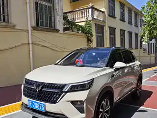 Wuling Motors Xingchen 2021