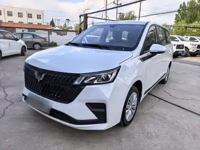 Wuling Motors Wuling Jiachen 2022
