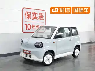 Zhido Rainbow 2024