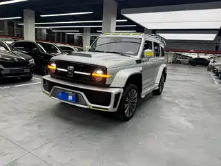 Crossboundary Auto Co-created Tank 300 2021