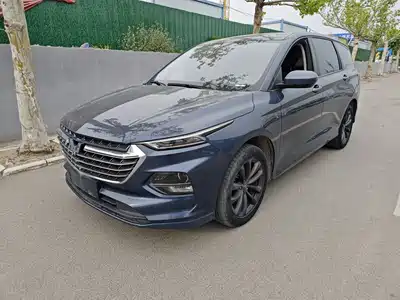 Wuling Motors Wuling Victory 2020