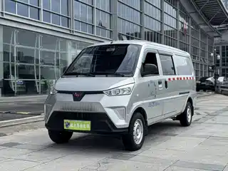 Wuling Motors Wuling EV50 2022