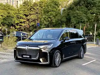 Voyah Auto Dreamer 2024