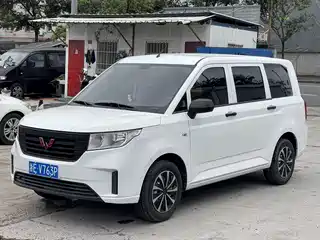 Wuling Motors Wuling Hongguang PLUS 2020