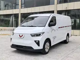 Wuling Motors Wuling Yangguang 2024