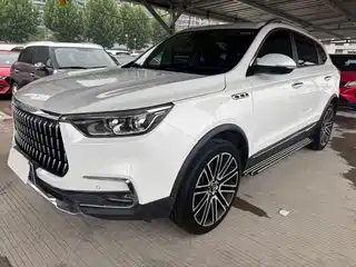 Leopaard Mattu 2018