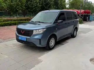 Wuling Motors Wuling Hongguang PLUS 2020