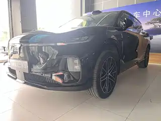 Voyah Auto Zhiyin 2025