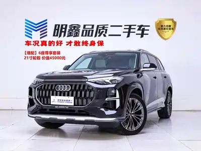 Audi Q6 2022