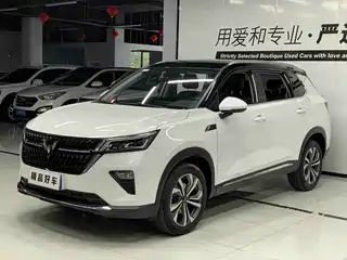 Wuling Motors Wuling Xingchen 2021