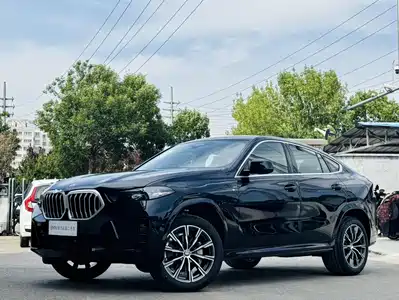 BMW BMW X6 2023