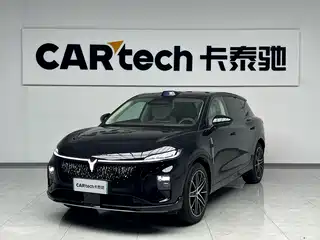 Voyah Auto Voyah Zhiyin 2025