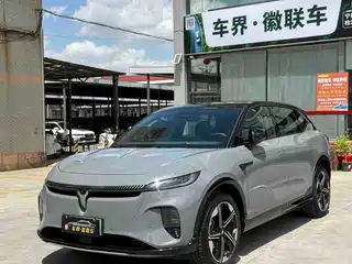Voyah Auto Voyah Zhiyin 2024