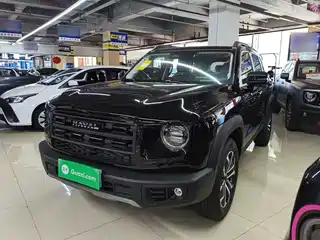 Haval Big Dog 2025