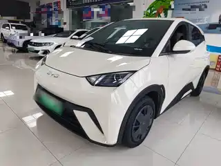 BYD Seagull 2024