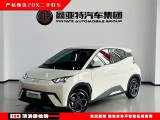 BYD Seagull 2024