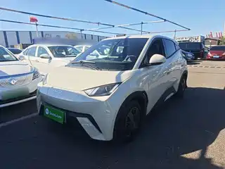 BYD Seagull 2024