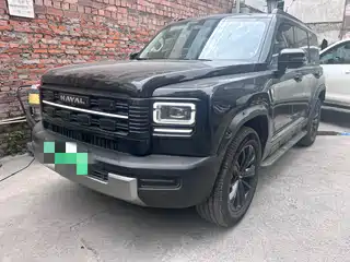 Haval Meng Long NEV 2025
