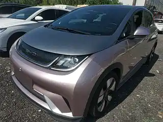 BYD Dolphin 2022