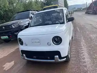 Ruilan Auto Ruilan Blue Elf 2025