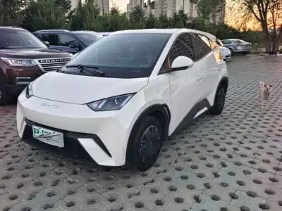 BYD Seagull 2023
