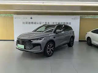 BYD Tang New Energy 2024