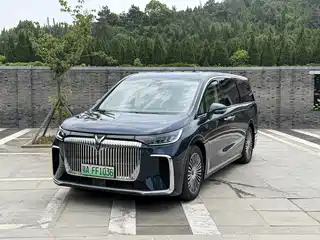 Voyah Auto Dreamer 2024