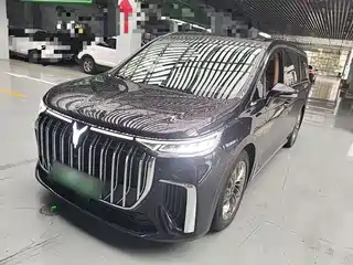 Voyah Auto Dreamer 2022