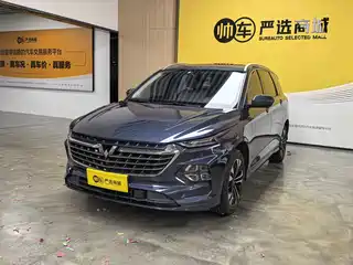 Wuling Motors Wuling Victory 2020