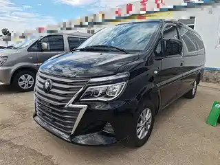 Dongfeng Fengxing Lingzhi 2023