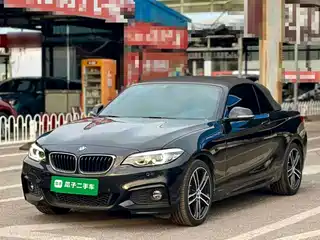 BMW 2 Series (Import) 2017
