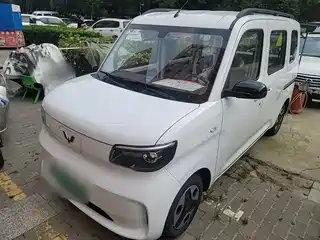 Wuling Motors Zhiguang NEV 2025