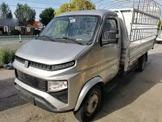 Yuan Cheng Farizon FR 2022