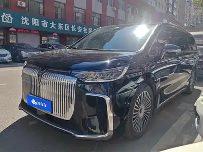 Voyah Auto Dreamer 2024