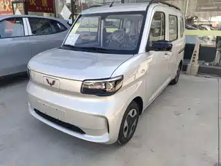 Wuling Motors Zhiguang NEV 2025