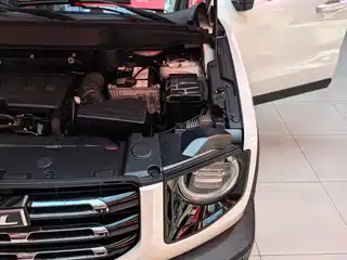 Haval Big Dog 2020