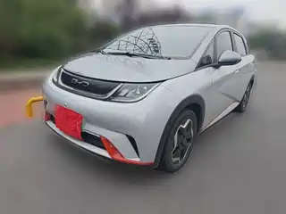 BYD Dolphin 2021