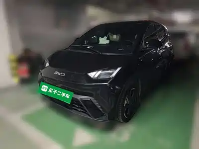 BYD Seagull 2024