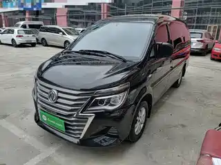Dongfeng Fengxing Lingzhi 2020