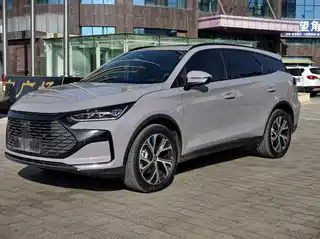 BYD Tang New Energy 2024