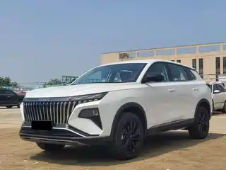 Dongfeng Aeolus Haoji 2024