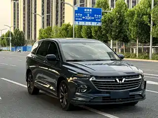 Wuling Motors Wuling Victory 2020